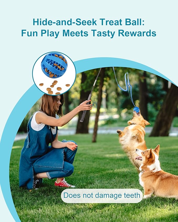 Flirt Pole for Dogs, Durable Dog Flirt Pole for Large Medium & Small Dogs, Interactive Dog Pole Toy with Rubber Ball for Outdoor/Indoor, Training, Chase, Tug of War 31 inch