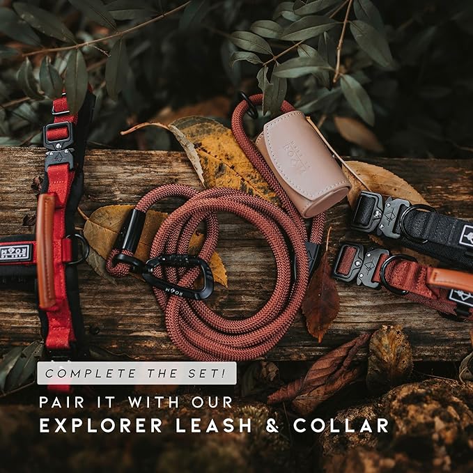 MADE TO ROAM Premium Explorer Harness - Y-Shaped Dog Harness with Adjustable Durable Nylon, Soft Padding, Metal Buckles and Leather Handle for Small, Medium, Large Dogs (Texas Flair, Size 3)
