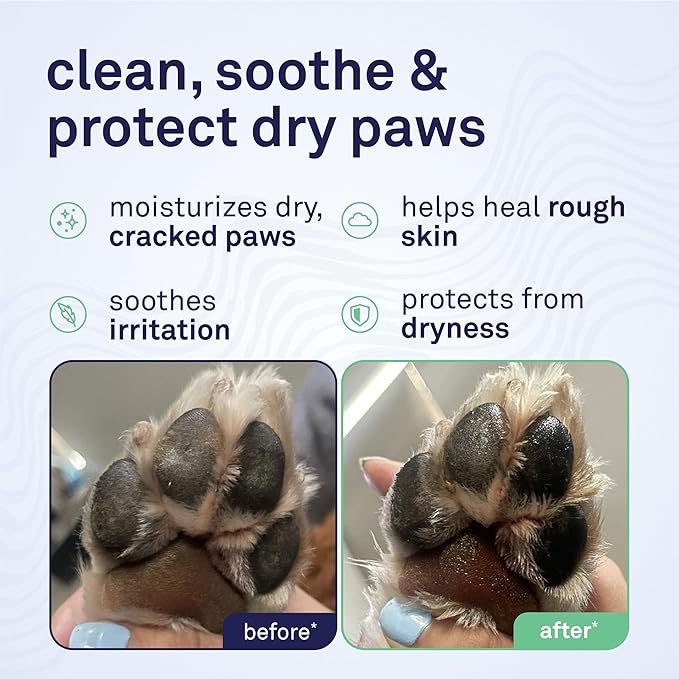 Petpost | Paw Protection for Dogs - Organic Sunflower Oil and Beeswax Balm for Hot Pavement - Wax Coats Dog Feet to Prevent Burns from Heat & Cold 0.64 oz.