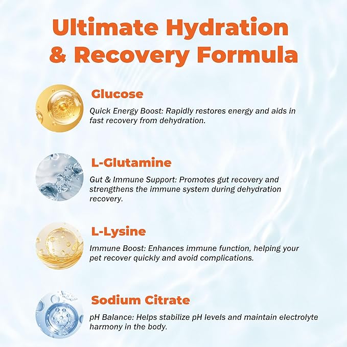 Electrolytes for Dogs – Vet-Formulated Hydration Supplement– Supports Post-Surgery & Illness Recovery– Helps Replenish Fluids & Electrolytes Lost from Diarrhea, Vomiting & Poor Appetite