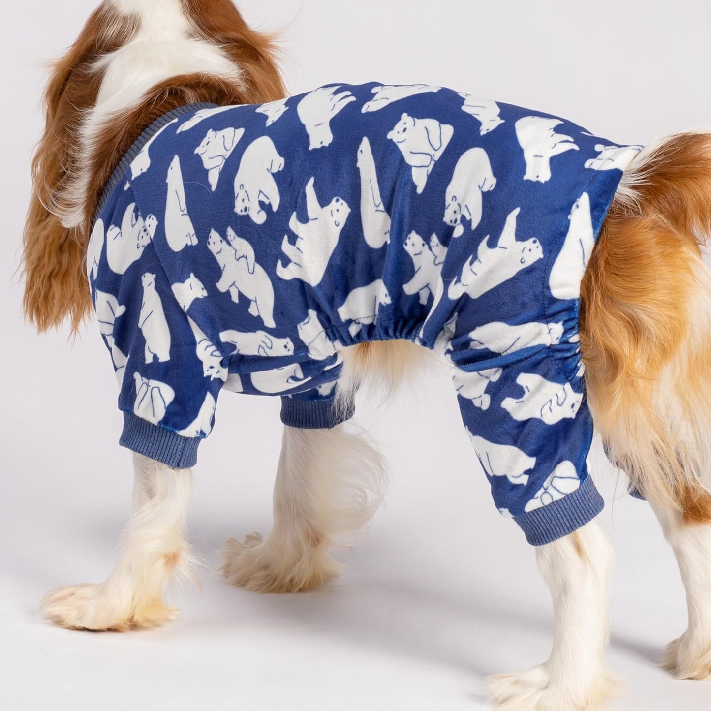 Fitwarm Polar Bear Dog Pajamas, Dog Clothes for Small Dogs Girl Boy, Pet Onesie with Feet, Cat Outfit, Lightweight Velvet, Royal Blue, White, Medium