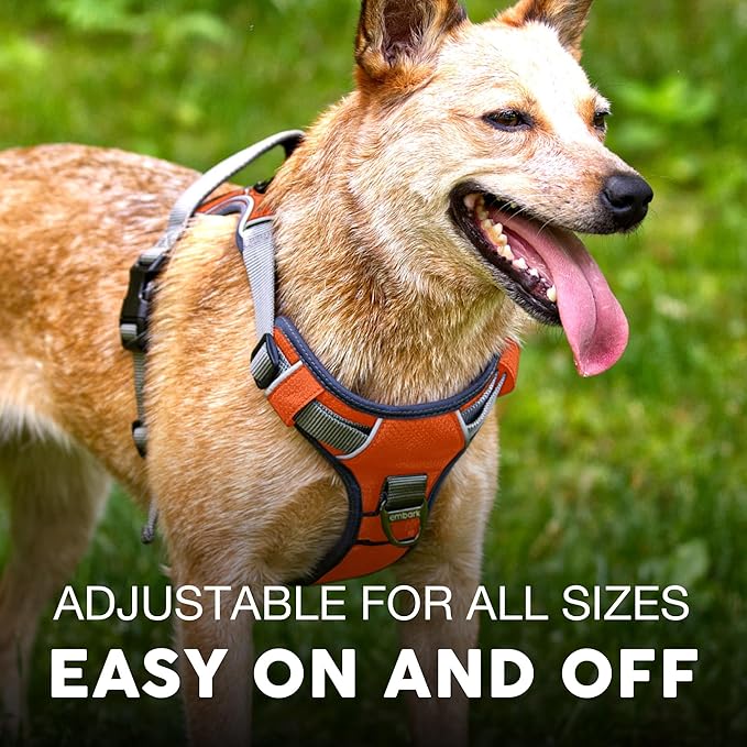 Embark Adventure Dog Harness, Reflective Trim No Pull Dog Harnesses for Small Sized Dogs - Military Grade Nylon, Front Clip with Gel Lined Handle.