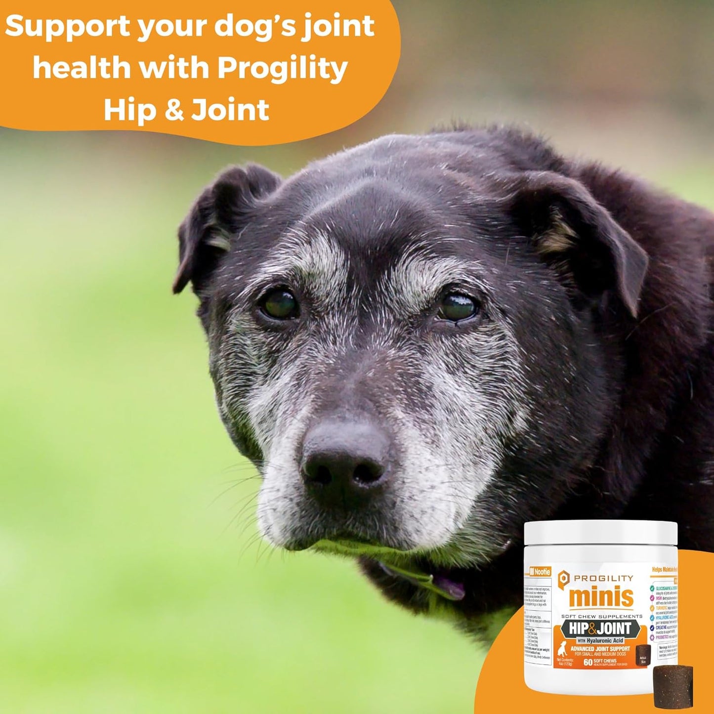 Nootie Progility Mini Hip & Joint Small & Medium Breed Chew Supplement for Dogs, 60 Count