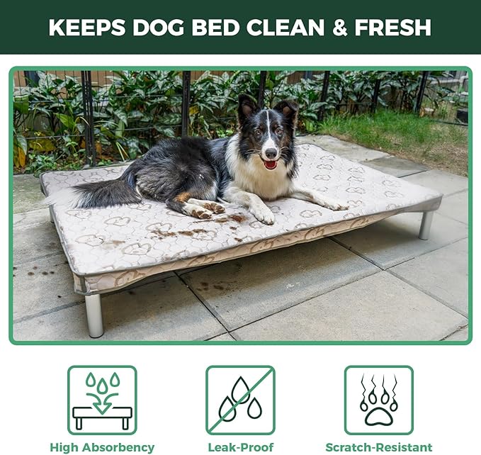 FXW TitanNest Chew-Proof Elevated Dog Bed, Raised Cot for Indoor/Outdoor/Camping Use, Durable & Washable Padded Pet Bed with Exclusive Cover for Toy Dogs, 23.0" L x 17.0" W x 4.5" H, Gray