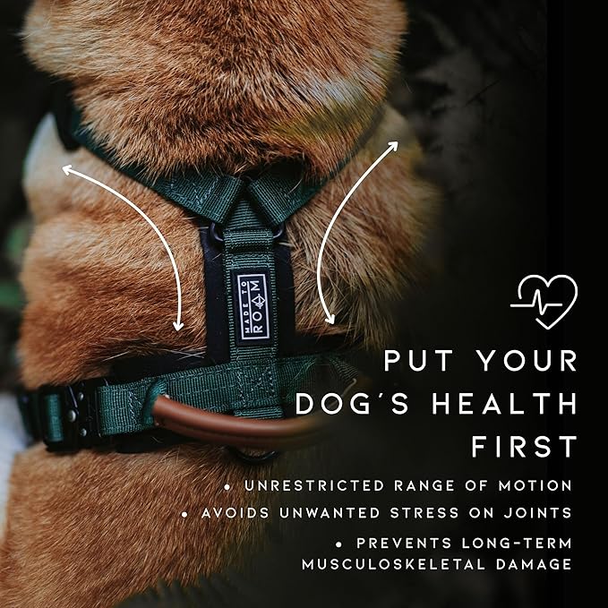 MADE TO ROAM Premium Explorer Harness - Y-Shaped Dog Harness with Adjustable Durable Nylon, Soft Padding, Metal Buckles and Leather Handle for Small, Medium, Large Dogs (Oregon Haze, Size 1)
