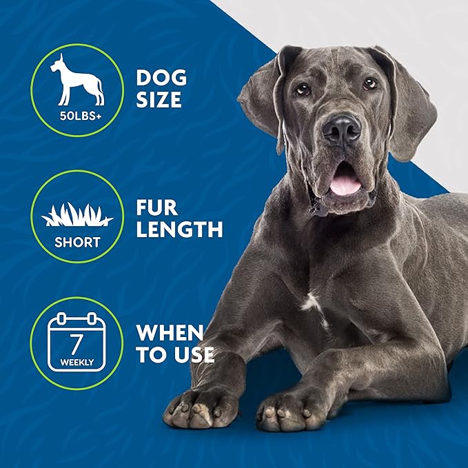 FURminator Undercoat Deshedding Tool for Dogs, Deshedding Brush for Dogs, Removes Loose Hair and Combats Dog Shedding (Pack of 12)