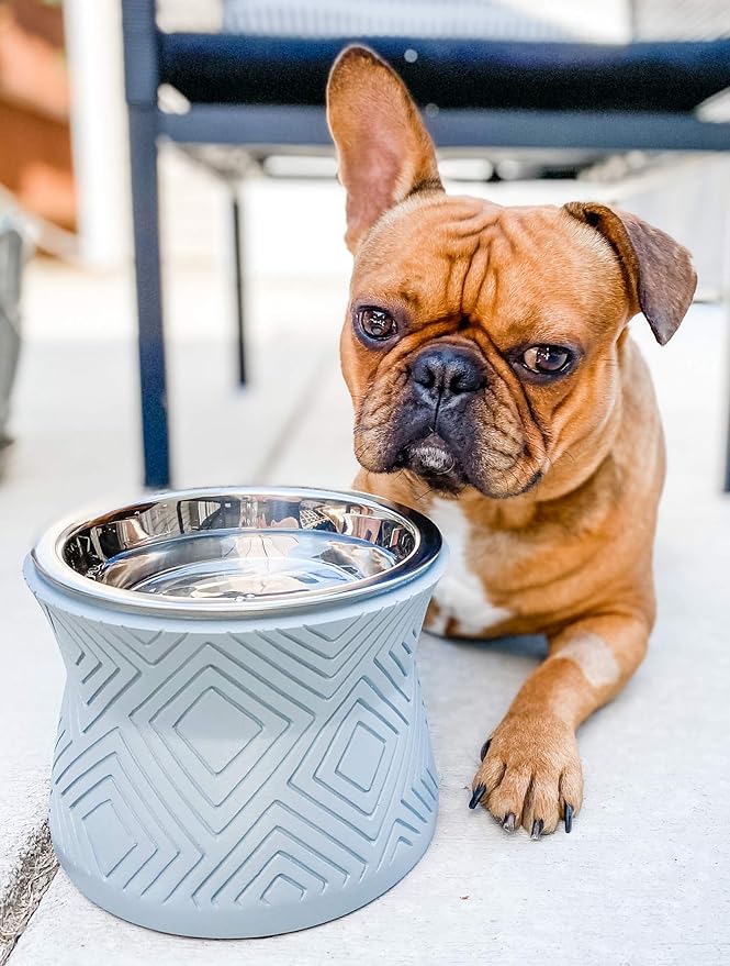 Pet Junkie Santa Fe Single Elevated Pet Bowl Stand with Removable Stainless Steel 16oz Inner Bowl for Small Dog Breed or Cat - Raised Dog Food or Water Station (Small, ICY Gray)