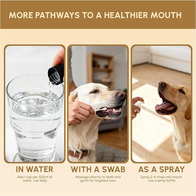 Advanced Probiotic Pet Dental Water Additive, Bio-Active Formula to Fight Oral Bacteria at The Source, Freshens Breath, Reduces Plaque & Tartar, Just Add to Water, Vet Recommended, 9.8 oz
