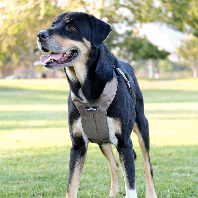 Clickit Sport Plus - Crash-Tested and Safety Certified Car Seat Belt Harness for Dogs (Large, Olive Green)
