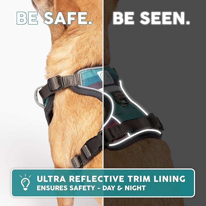 Embark Adventure Dog Harness, Reflective Trim No Pull Dog Harnesses for Small Sized Dogs - Military Grade Nylon, Front Clip with Gel Lined Handle. Soft & Padded Puppy