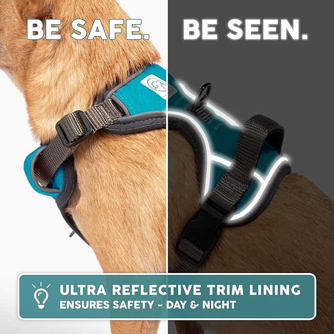 Embark Adventure Dog Harness, Easy On and Off with Front and Back Leash Attachment Points & Control Handle - No Pull Training, Size Adjustable and No Choke (Small - Teal Blue)