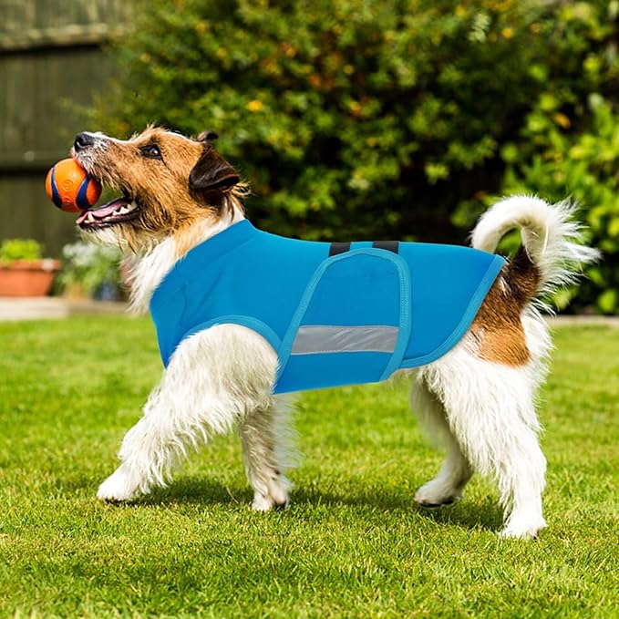 MIGOHI Dog Anxiety Relief Coat,Comfort Anxiety Vest for Dogs,Adjustable Dog Anxiety Calming Wrap for Fireworks,Thunderstorm,Travel,Separation,Anxiety Jacket for Medium Dogs,M,Blue