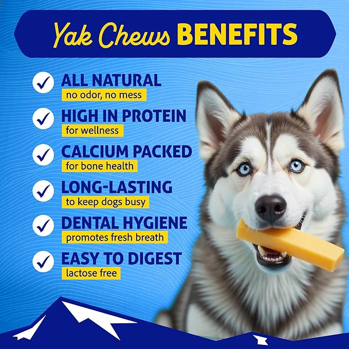 Himalayan Dog Chew Chicken Yak Cheese Dog Chews, The Better-for-You Chew, 100% Natural Long Lasting, Healthy Dog Treats, Lactose & Grain Free, Protein Rich, for Dogs 65 Lbs & Smaller, 2-Count