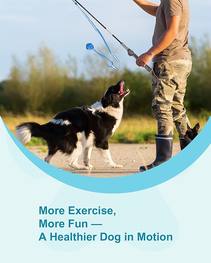 Flirt Pole for Dogs, Durable Dog Flirt Pole for Large Medium & Small Dogs, Interactive Dog Pole Toy with Rubber Ball for Outdoor/Indoor, Training, Chase, Tug of War 31 inch