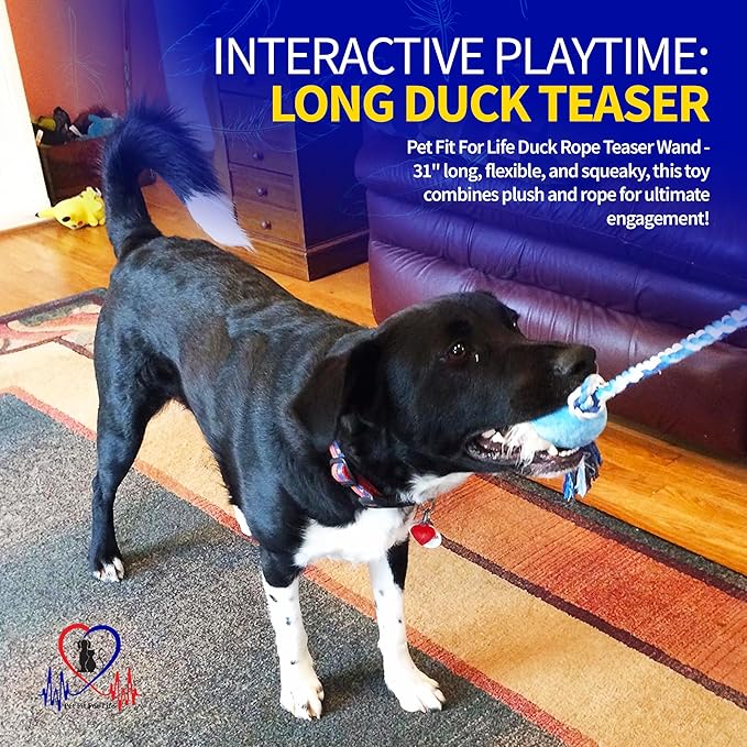 Pet Fit For Life Flirt Pole for Dogs – Extra Long 31" Dog Teaser Wand with Plush Duck Squeaky Attachment | Promotes Animal Health & Fitness, Made w/Soft & Durable Materials | Gift Idea