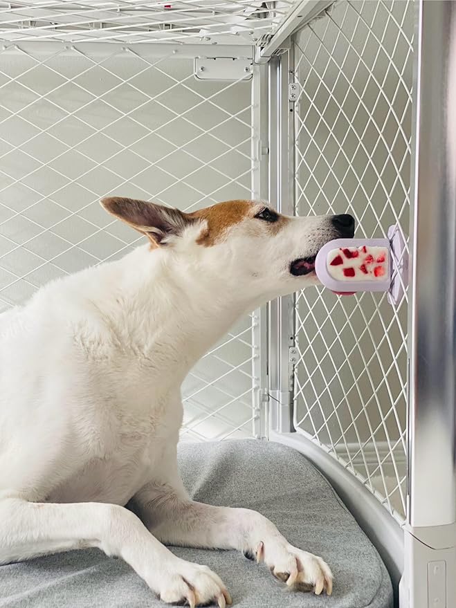 Diggs Groov Crate Training Aid for Puppies and Nervous Dogs – Calming Lick Mat for Crate Training & Separation – Puppy Enrichment Toy with Freezer Shell – BPA-Free – (Blush)