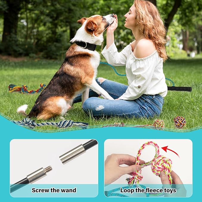 Flirt Pole for Dogs with 4 Rope Chew Toys, Dog Flirt Pole with Carry Bag for Outdoor Training and Exercise, Detachable Teaser Wand for Small, Medium Dogs