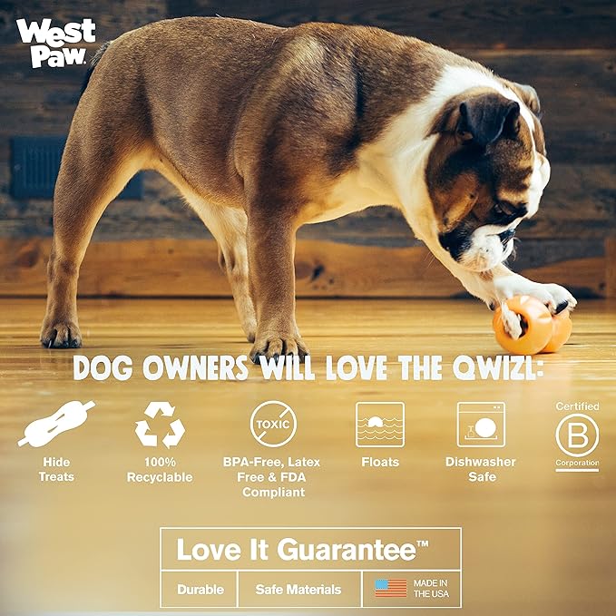 WEST PAW Design, Toy Dog Qwizl Aqua Small