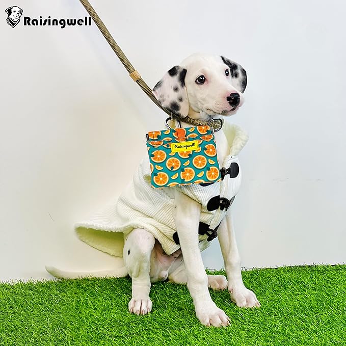 Dog Treat Pouch,Cotton Pocket Sized Training Holder, Hand Free Walking Funny Bag with Carabiner, Self-Closing Pet Feed Snack Reward, Behavior Aids for Puppy Travel or Outdoor Use（Fruit Orange）