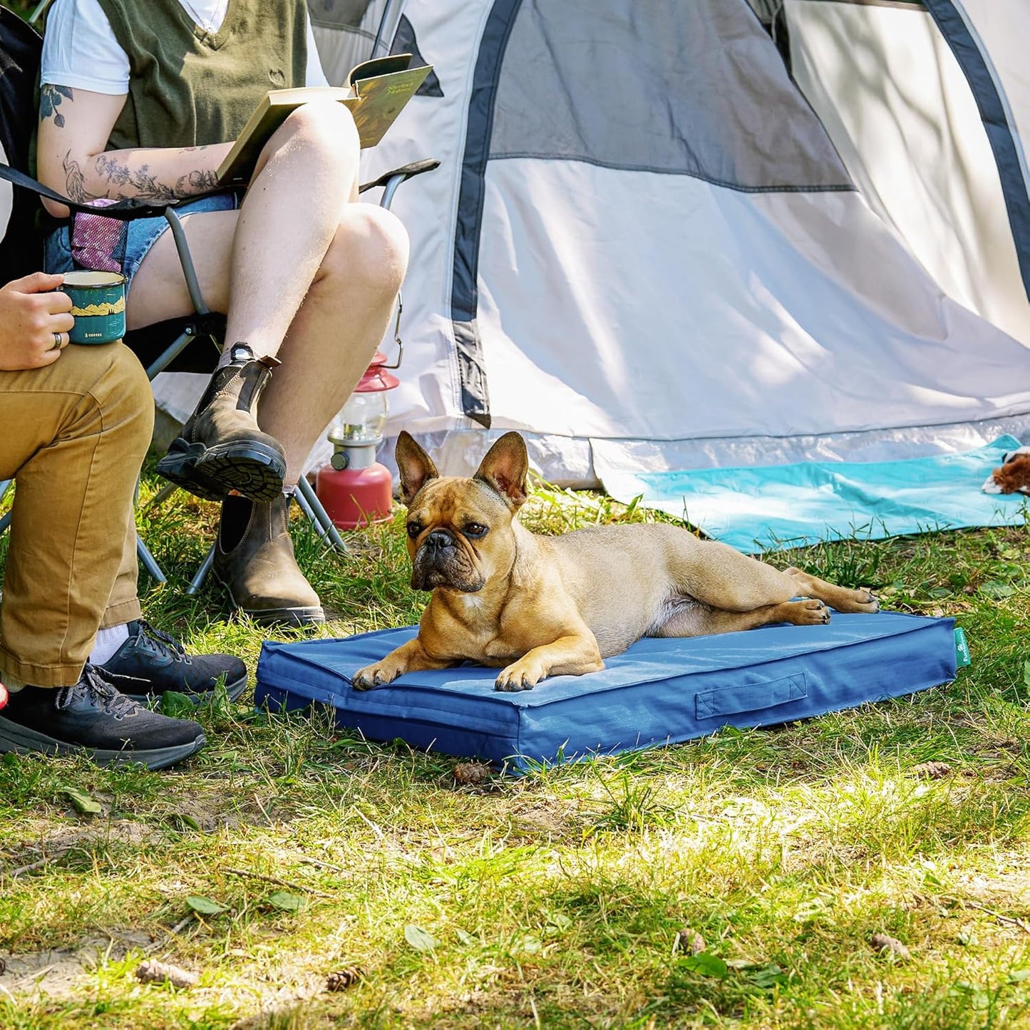 FurHaven Cooling Dog Bed – Medium Foam Mattress for Joint Pain Relief, Waterproof Liner, Removable Washable Cover, Durable for Outdoor Use, Deluxe Grid Indoor/Outdoor Bed – Blue, Medium
