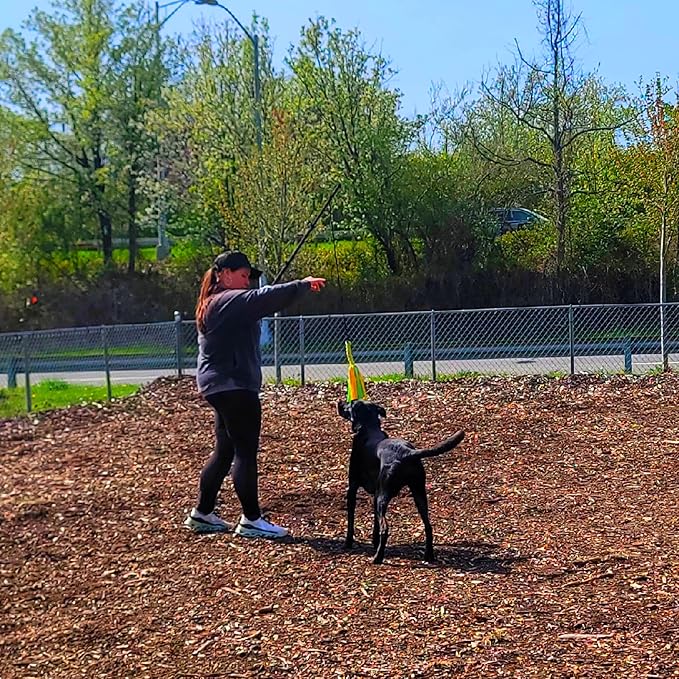 Flirt Pole For Dogs- Extendable Heavy Duty Flirt Pole For Dogs- Interactive Dog Training Toy w/ Interchangeable Lures & Instructional Guide- Engaging Heavy Duty Dog Toy- Flirt Pole For Large Pups