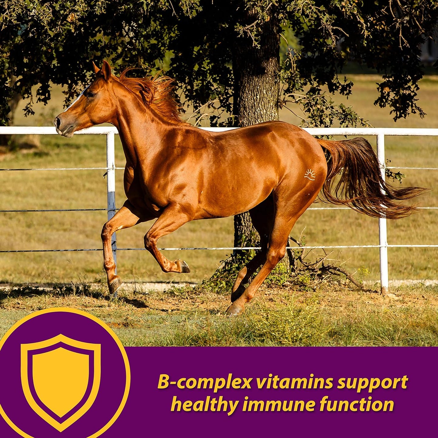 Farnam Horse Health Red Cell Pellets, Vitamin-Iron-Mineral Supplement for Horses, Helps Fill Important Nutritional Gaps in Horse's Diet, 4 lbs., 64-Day Supply