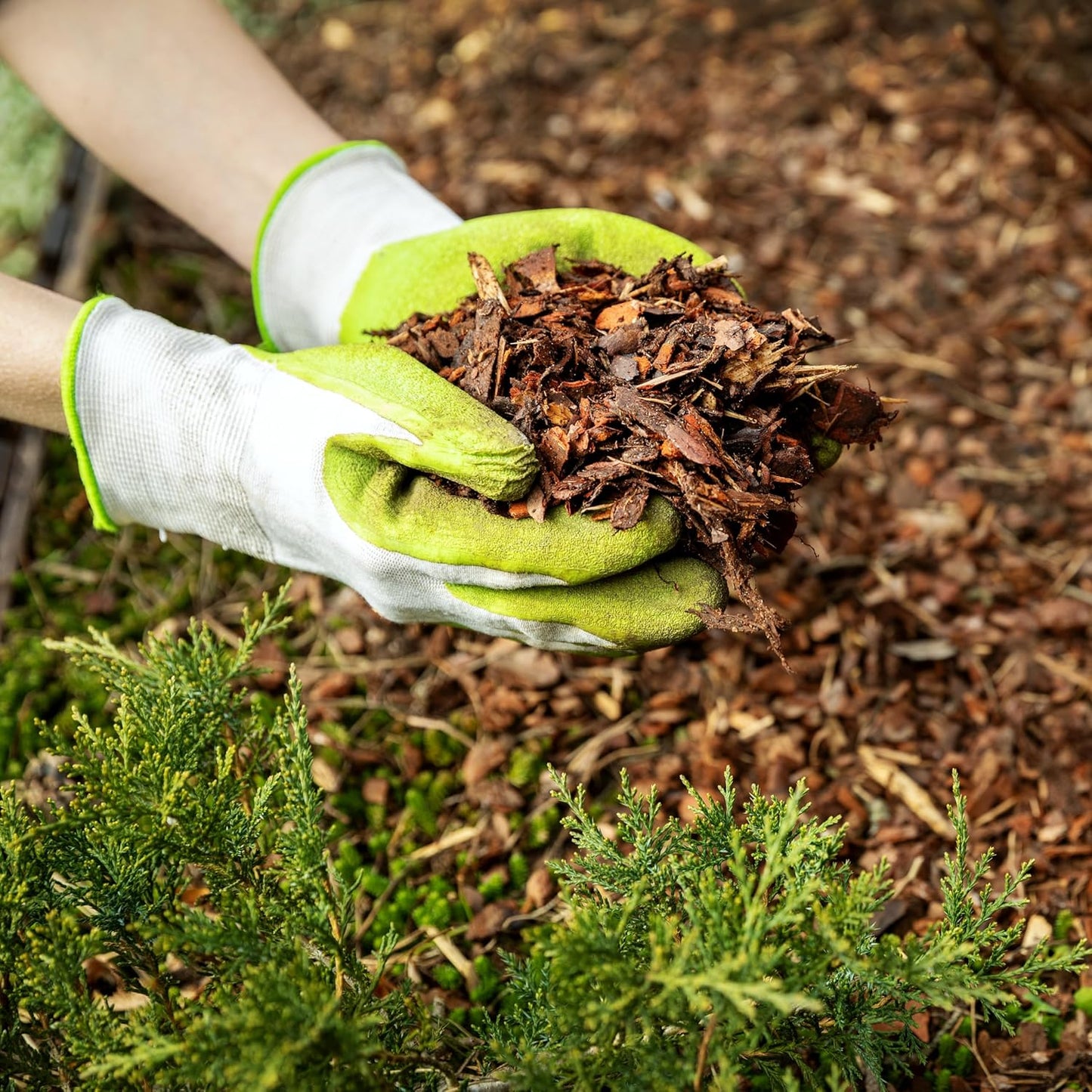 Premium Cypress Mulch for Landscaping, Gardens, Lawns, Reptile Bedding, and Potted Plants (0.7 CF - 20 L - 21 QTS)