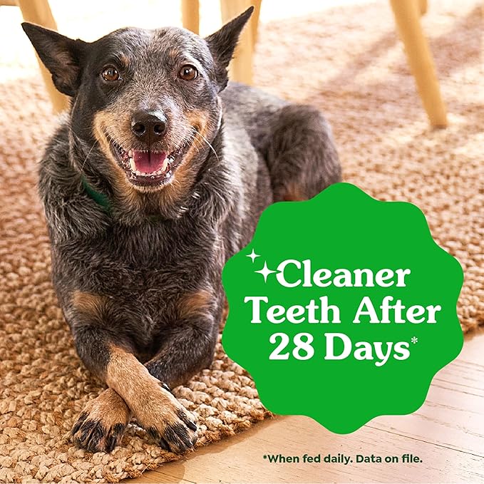 Greenies Veterinarian-Recommended Adult Natural Dental Dog Treats Regular Size, Dog Dental Chews, Original Flavor, 12 oz. Pack, 12 Count