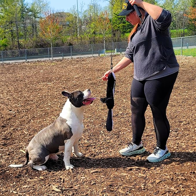 Flirt Pole For Dogs- Extendable Heavy Duty Flirt Pole For Dogs- Interactive Dog Training Toy w/ Interchangeable Lures & Instructional Guide- Engaging Heavy Duty Dog Toy- Flirt Pole For Large Pups