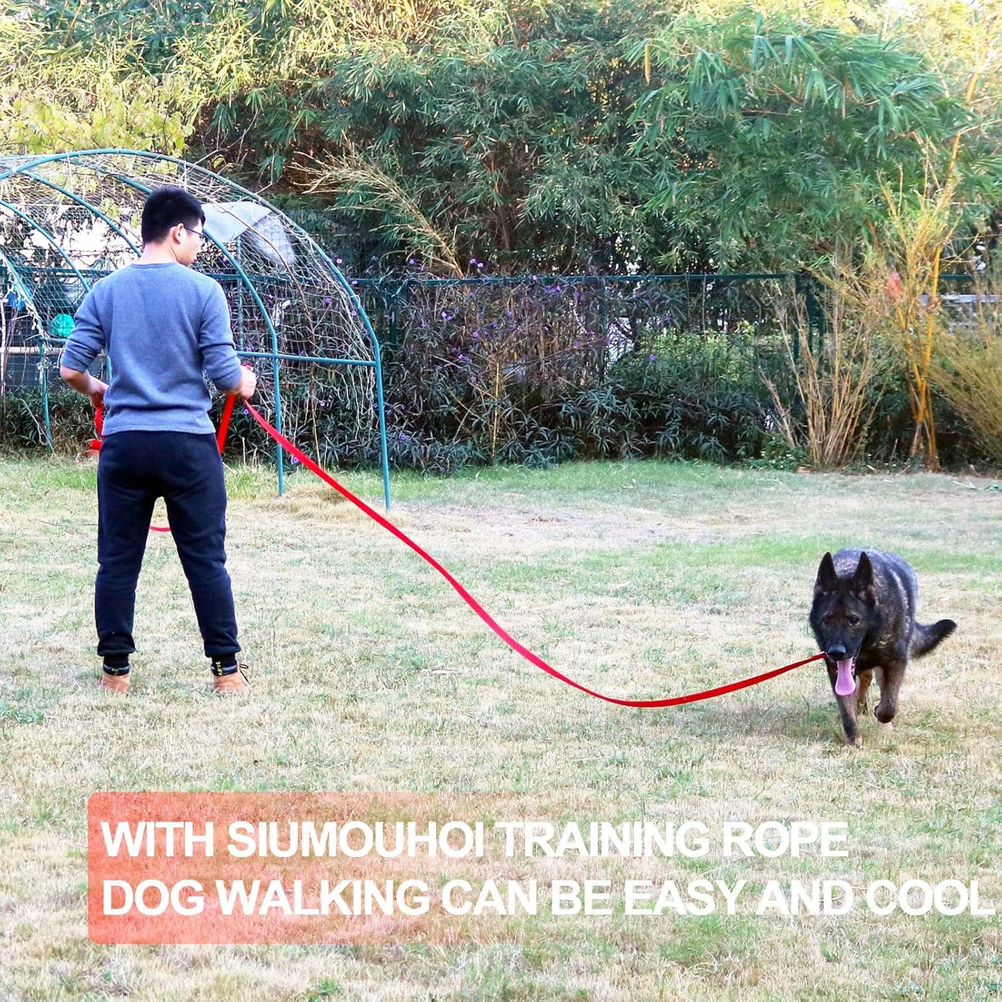 Dog/Puppy Recall & Behavior Training Rope Leash - 40 ft (Purple)